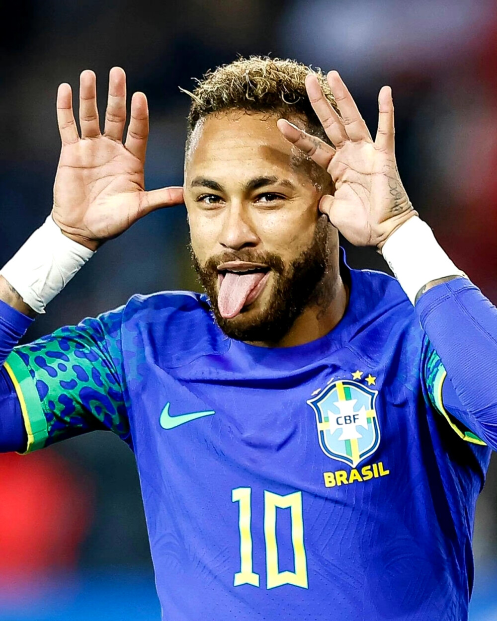 球的球迷来 球的球迷来