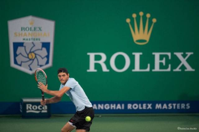 红衣主教 红衣主教